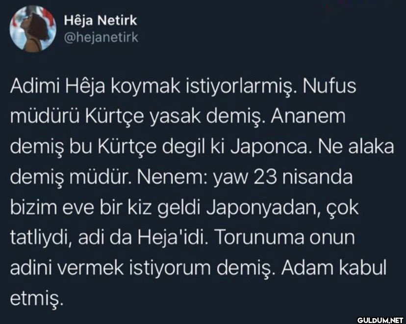 Hêja Netirk @hejanetirk...