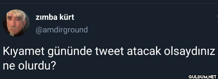 zımba kürt @amdirground...
