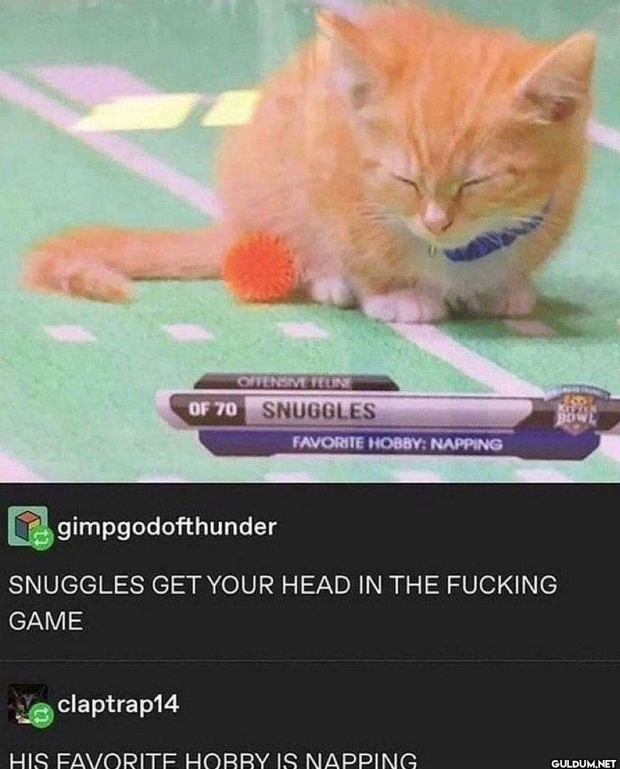 OFFENSIVE FELINE OF 70...