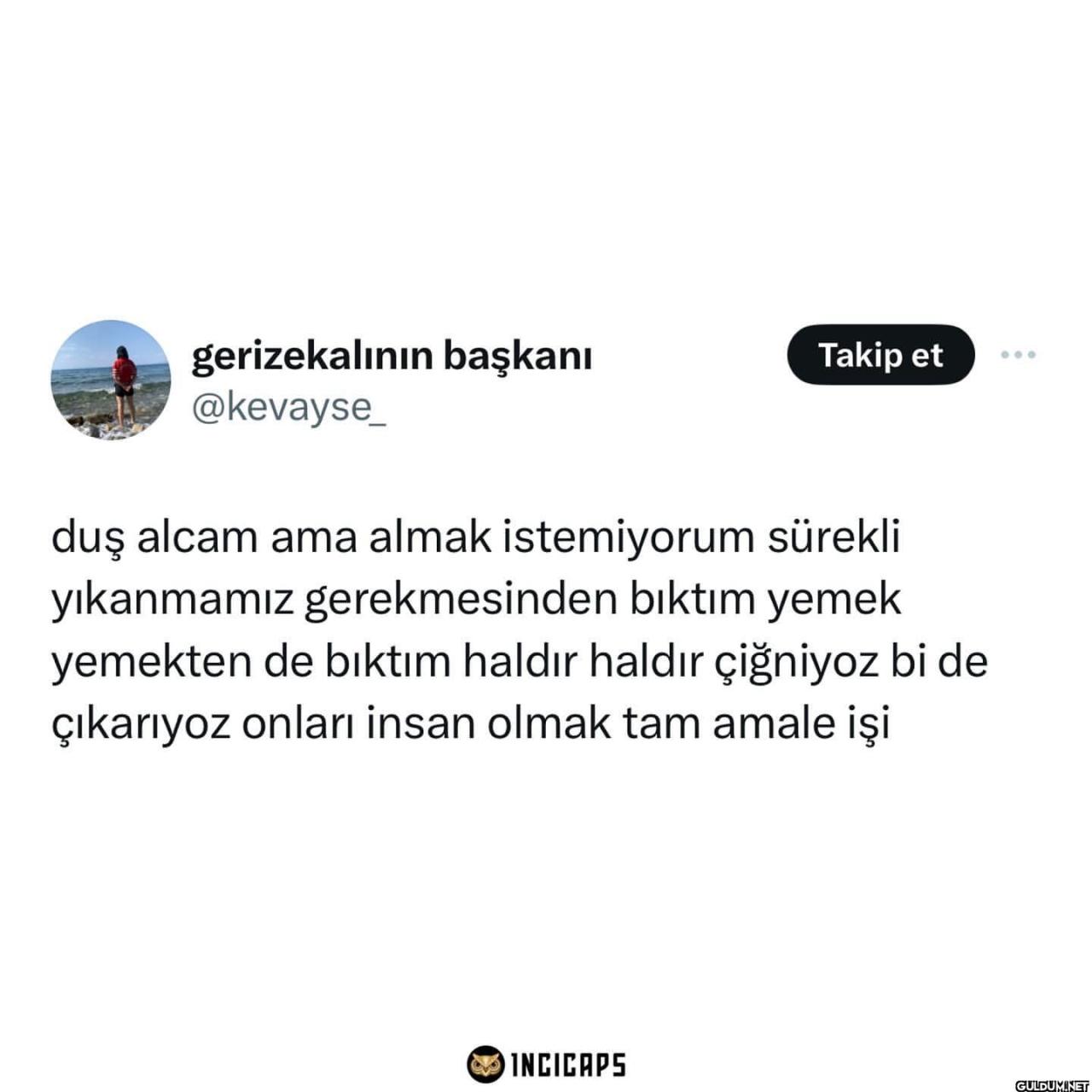 Benim bıkkınlık buralarda ...