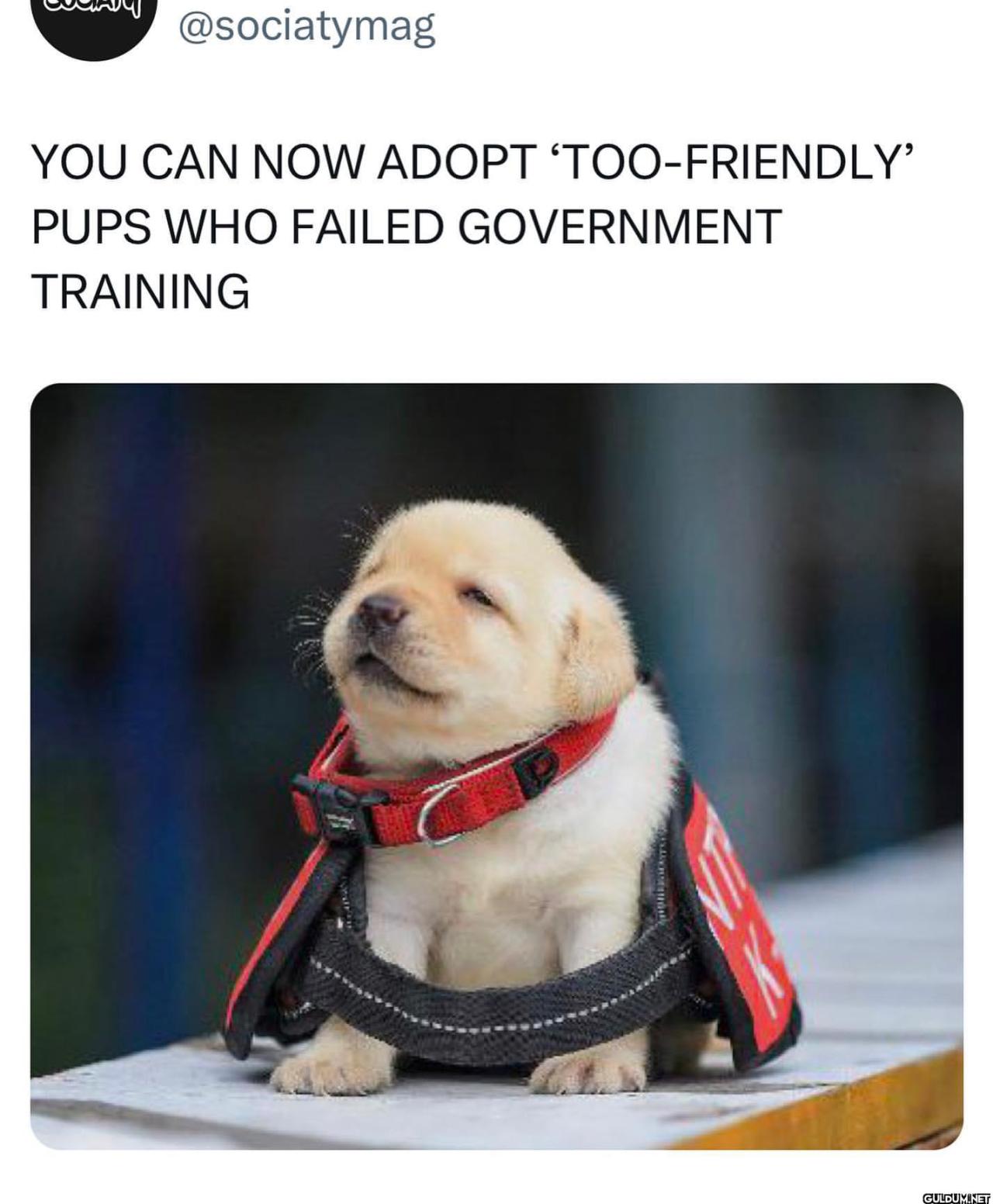 Sociaty on April 20, 2023....