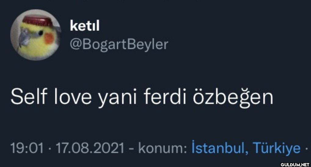 ketil @BogartBeyler Self...