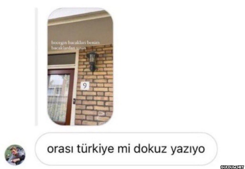 Aynı zekaReplying to...