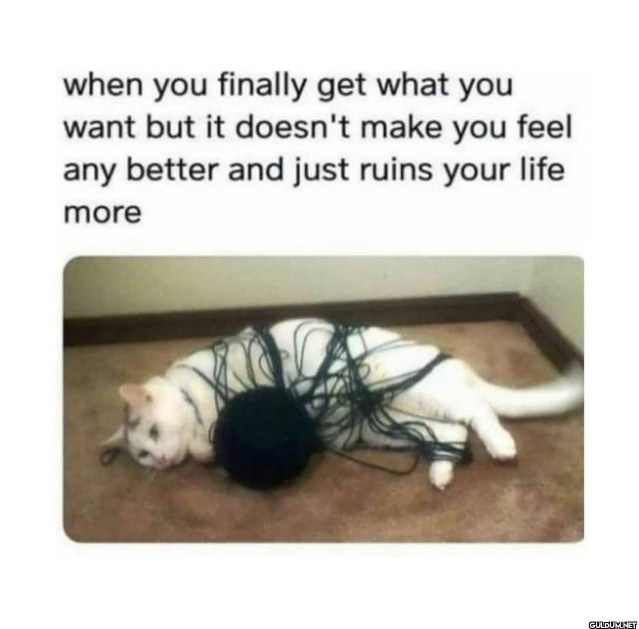 freud.intensifies on...