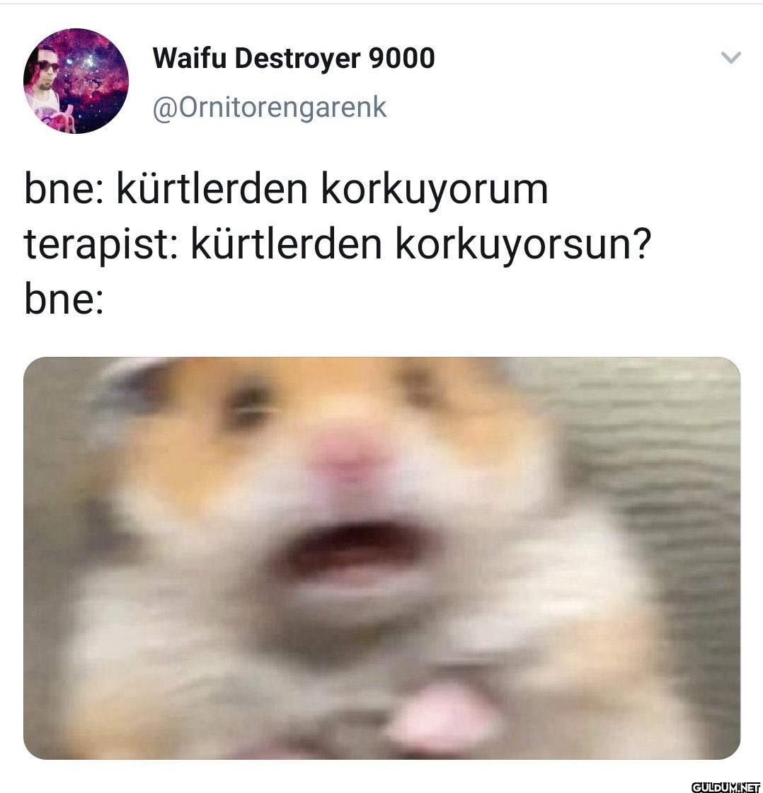 Waifu Destroyer 9000...