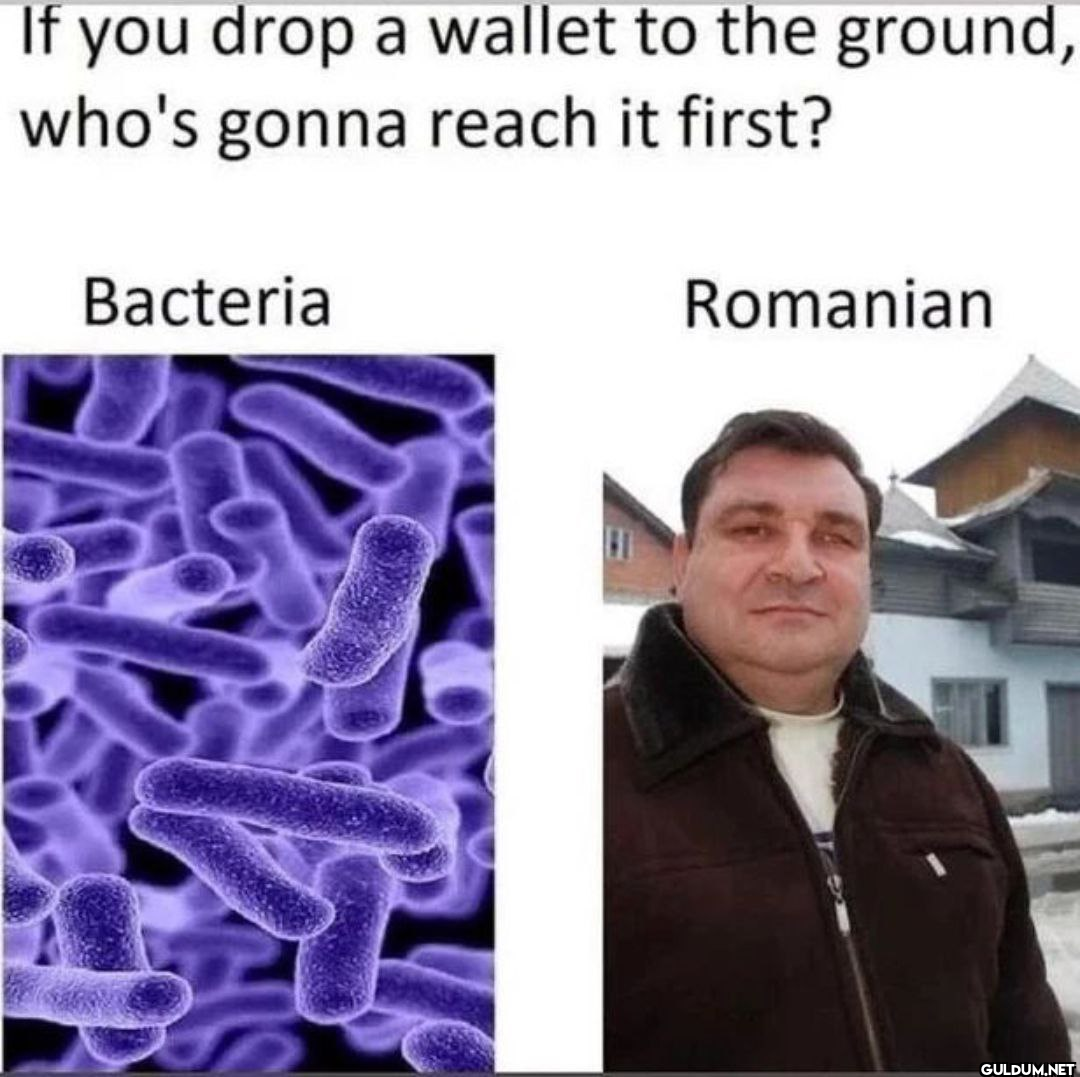 If you drop a wallet to...