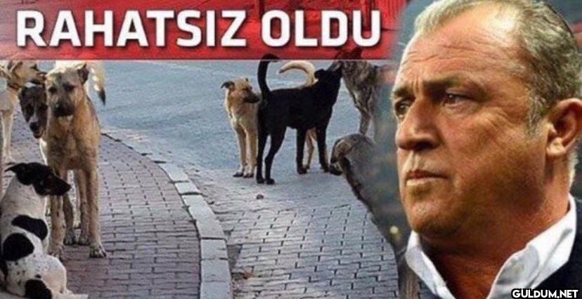 FollowHaber@Haberİstanbul'd...