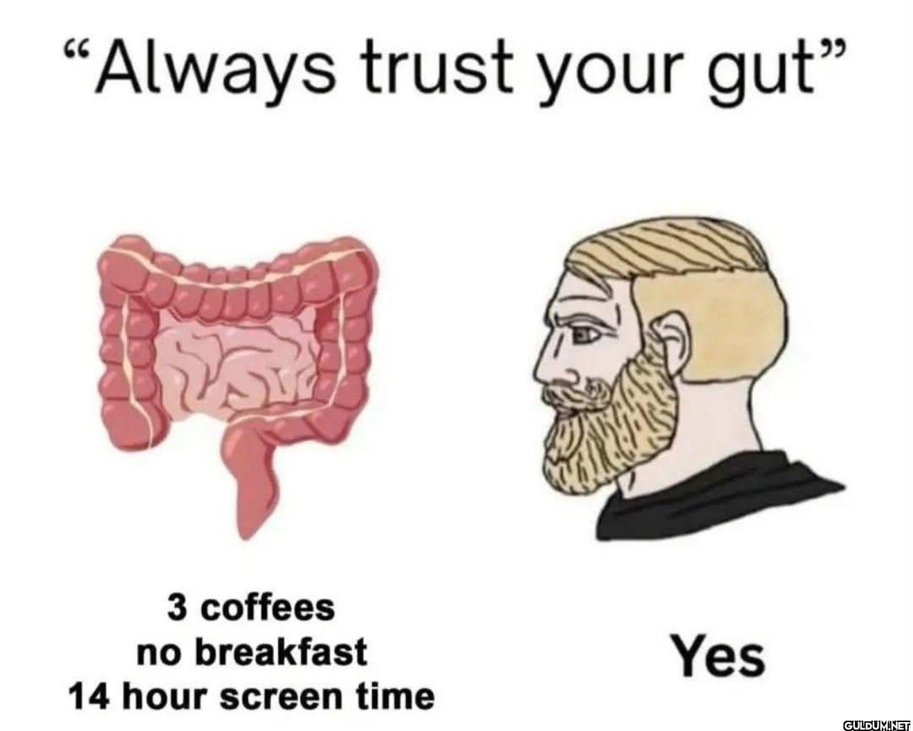 "Always trust your gut" 3...