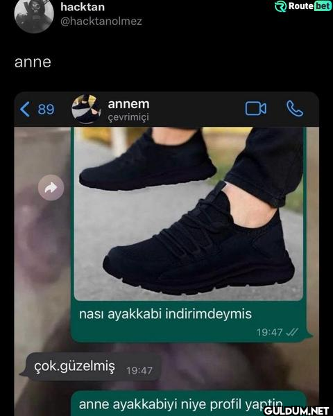 anne 89 hacktan...