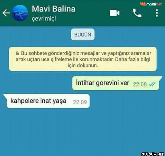 Mavi Balina çevrimiçi...