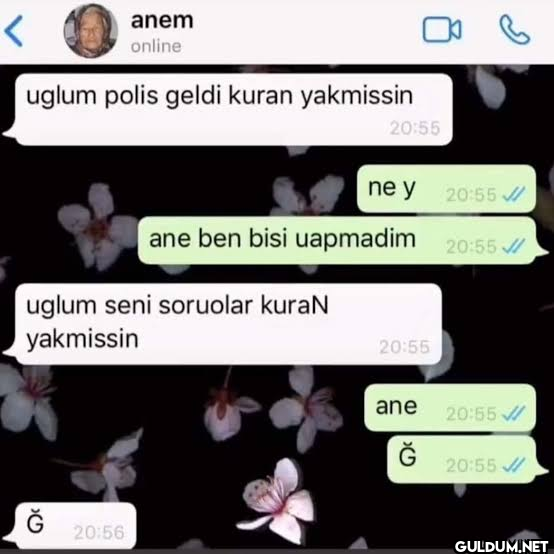 gerçek kalıtelı komedı...