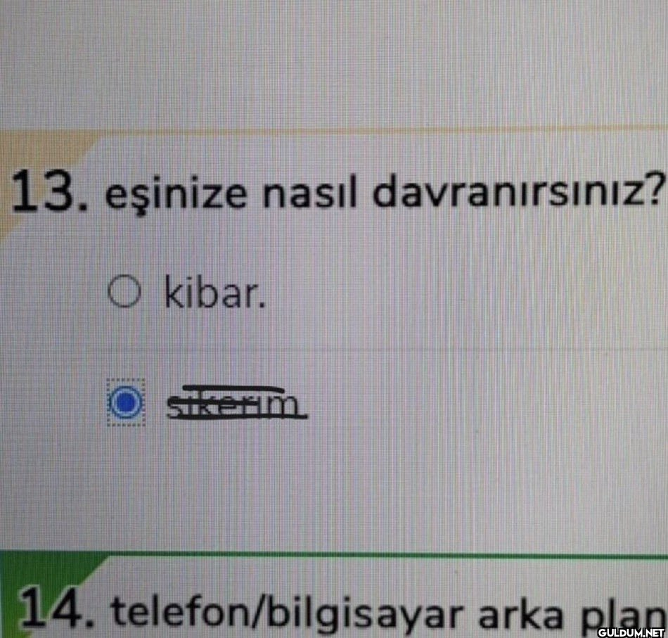 13. eşinize nasıl...