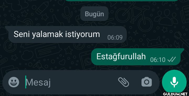 Seni yalamak istiyorum...