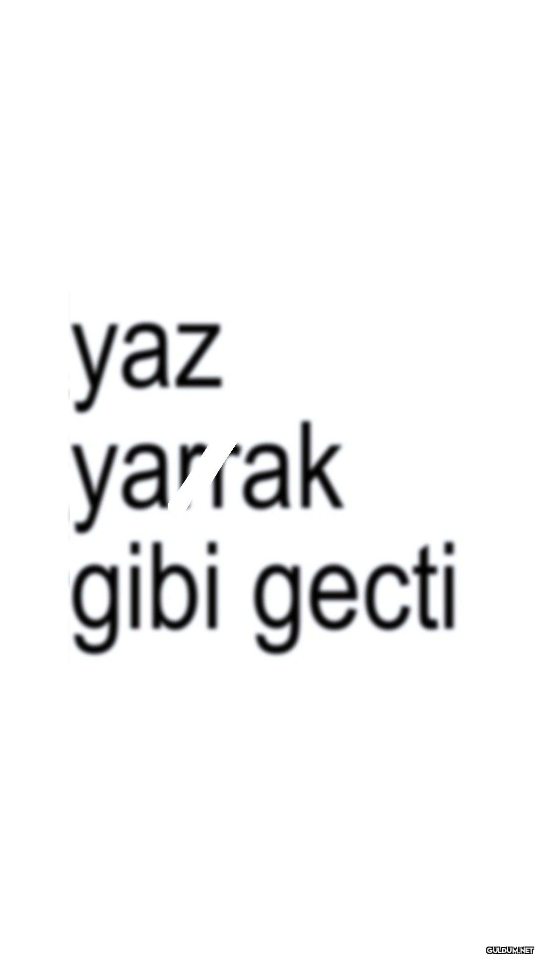 yaz yarrak gibi gecti