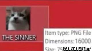 THE SINNER Item type PNG...