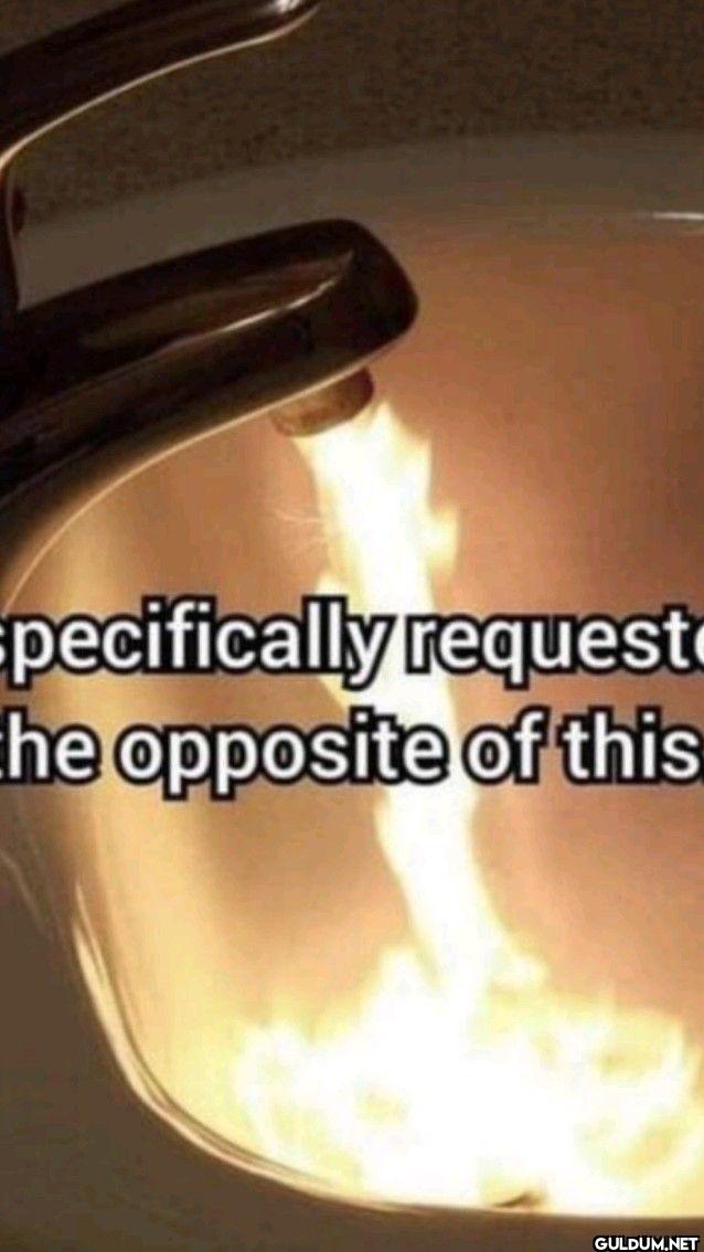 specifically request the...