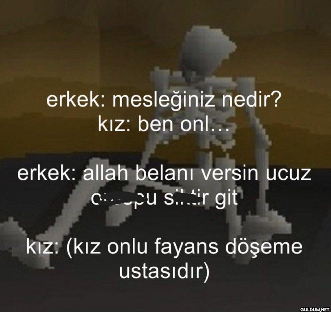 erkek: mesleğiniz nedir?...