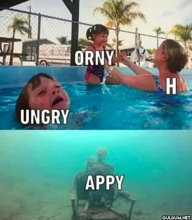 PAT UNGRY ORNY APPY H