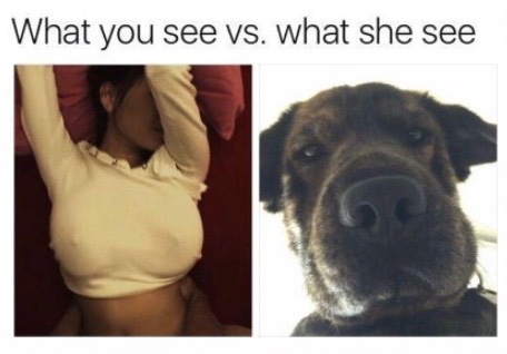 What you see vs. what she...