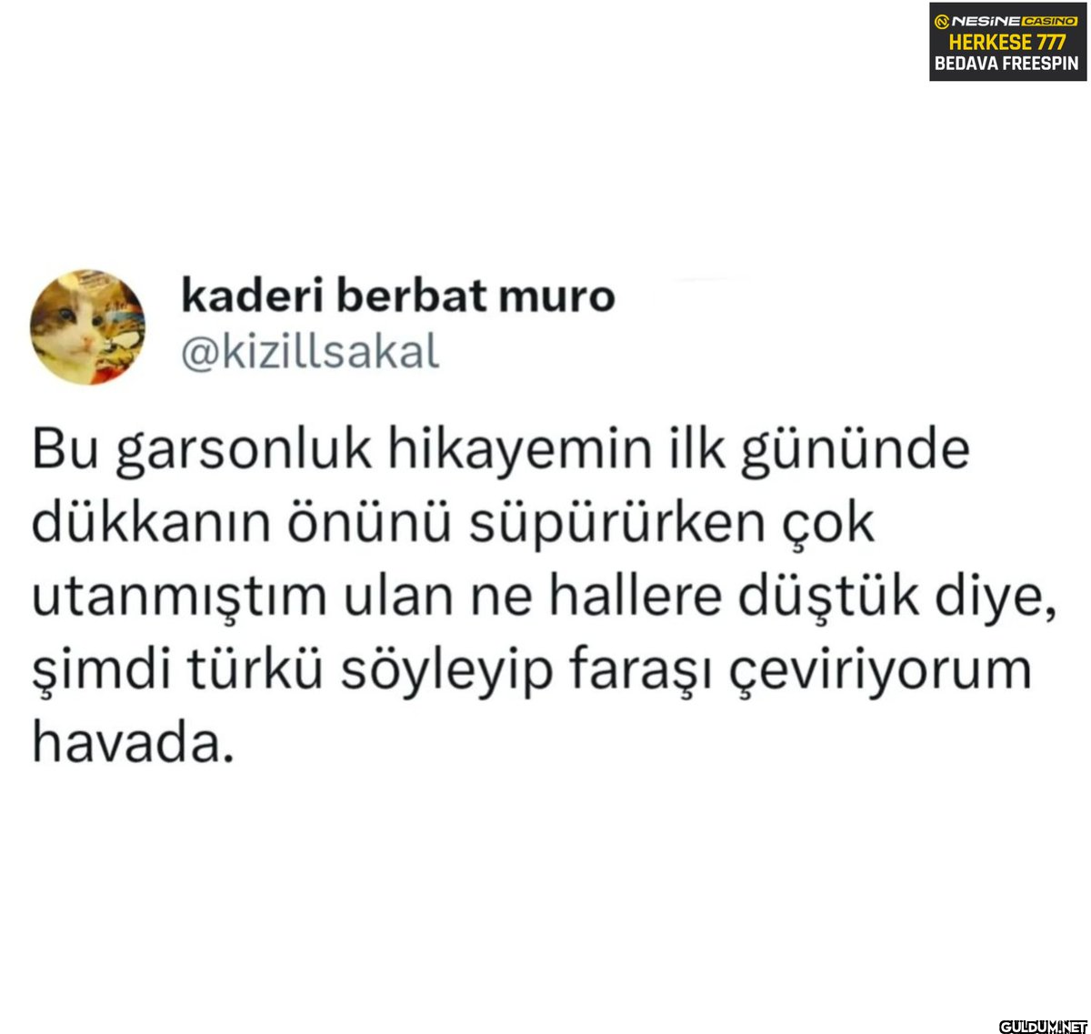 ahsjdkkdkdkkdkdksks  ...