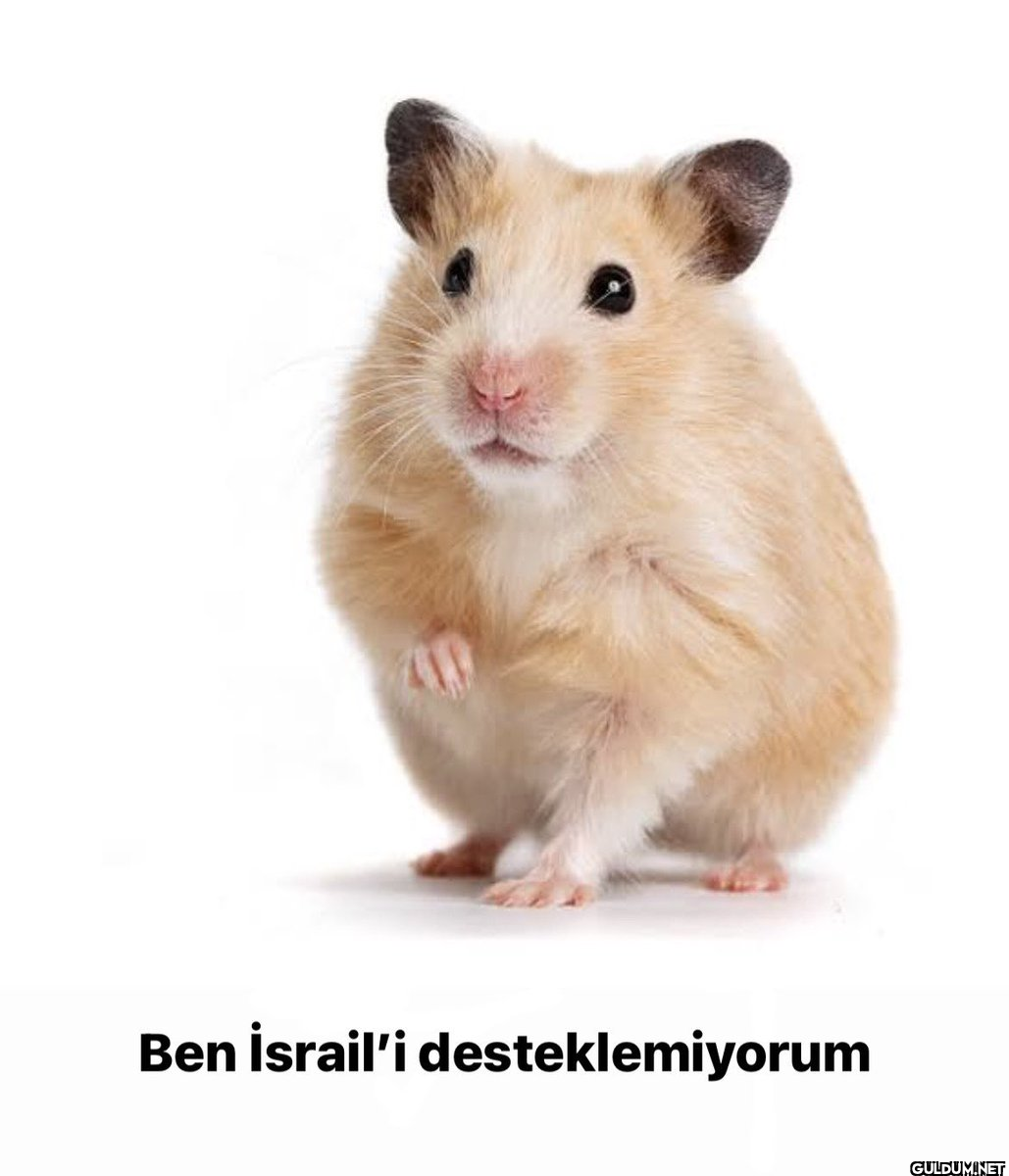 İstanbul'da bir şahıs, bir...