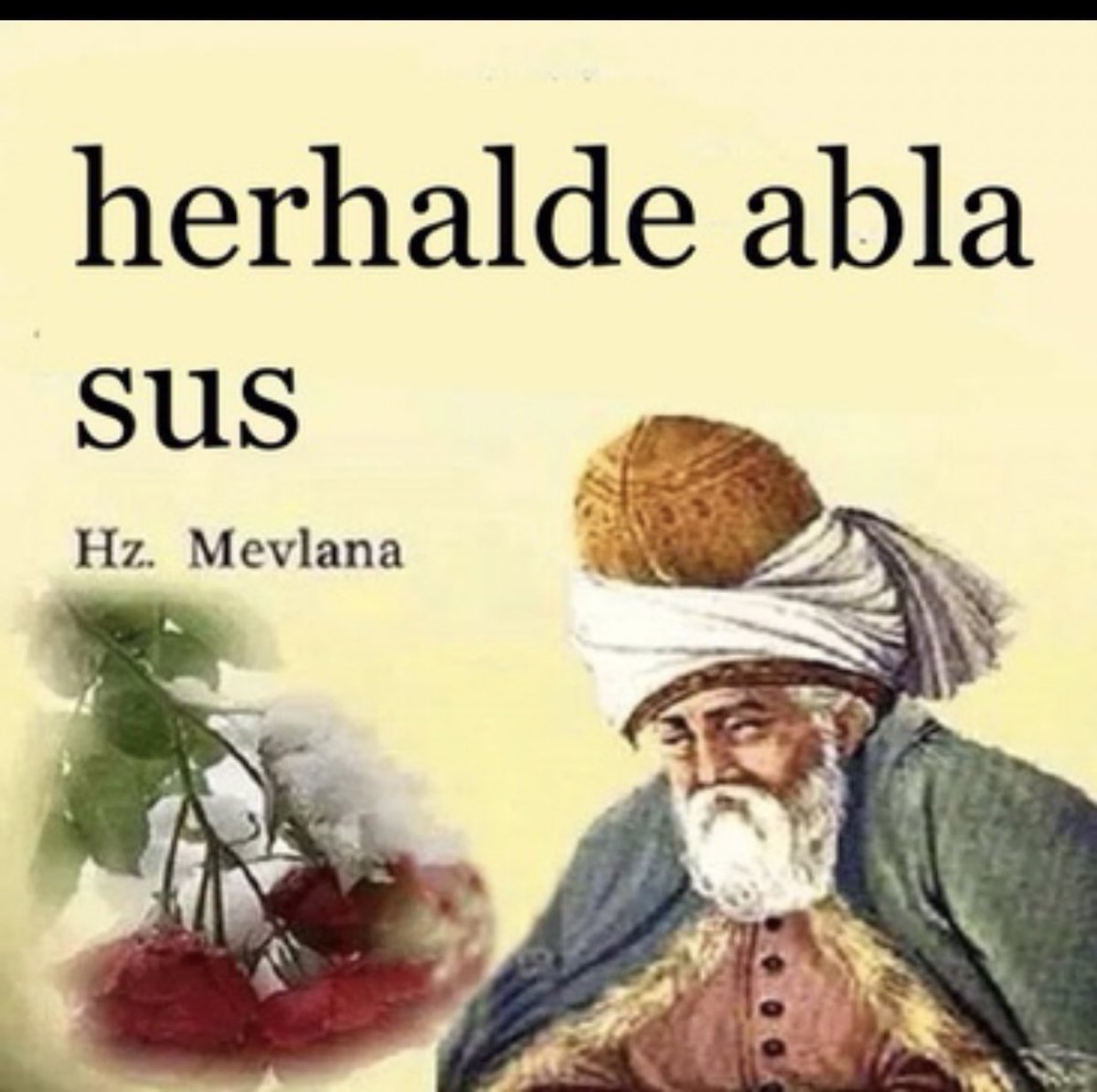 herhalde abla sus Hz....