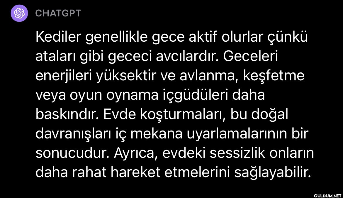 FollowMuhteşem...