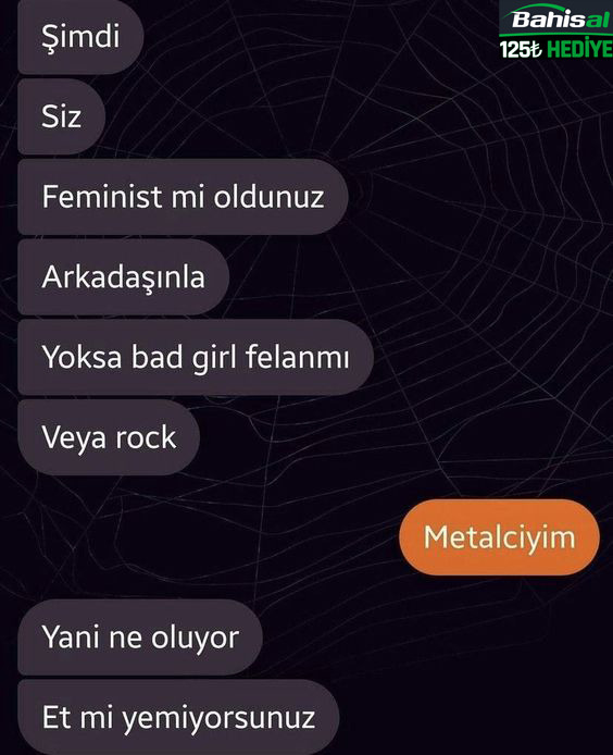 Şimdi Siz Feminist mi...