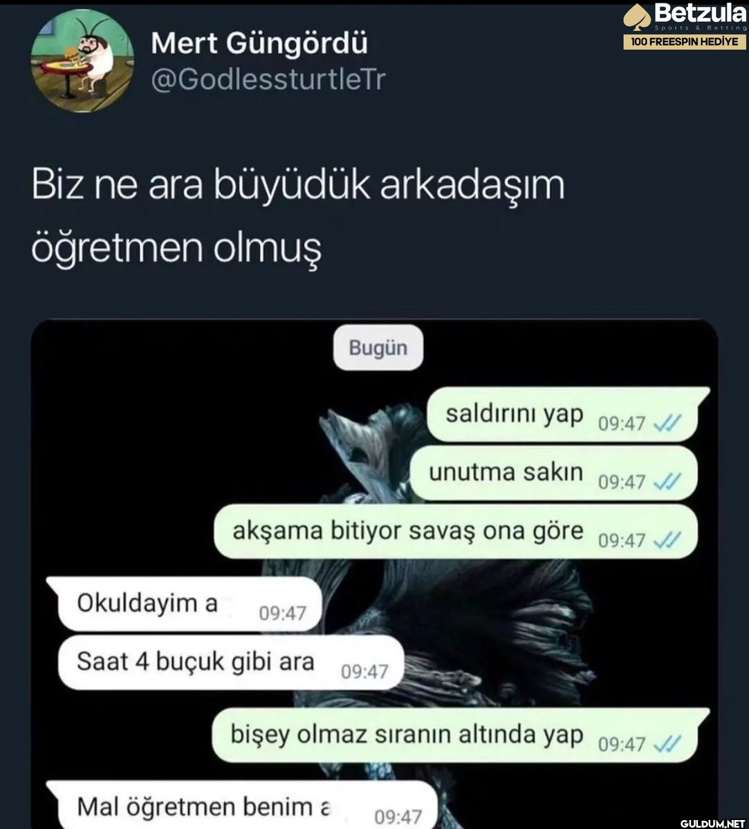 hahsjkdkdkdkdkd   Mert...