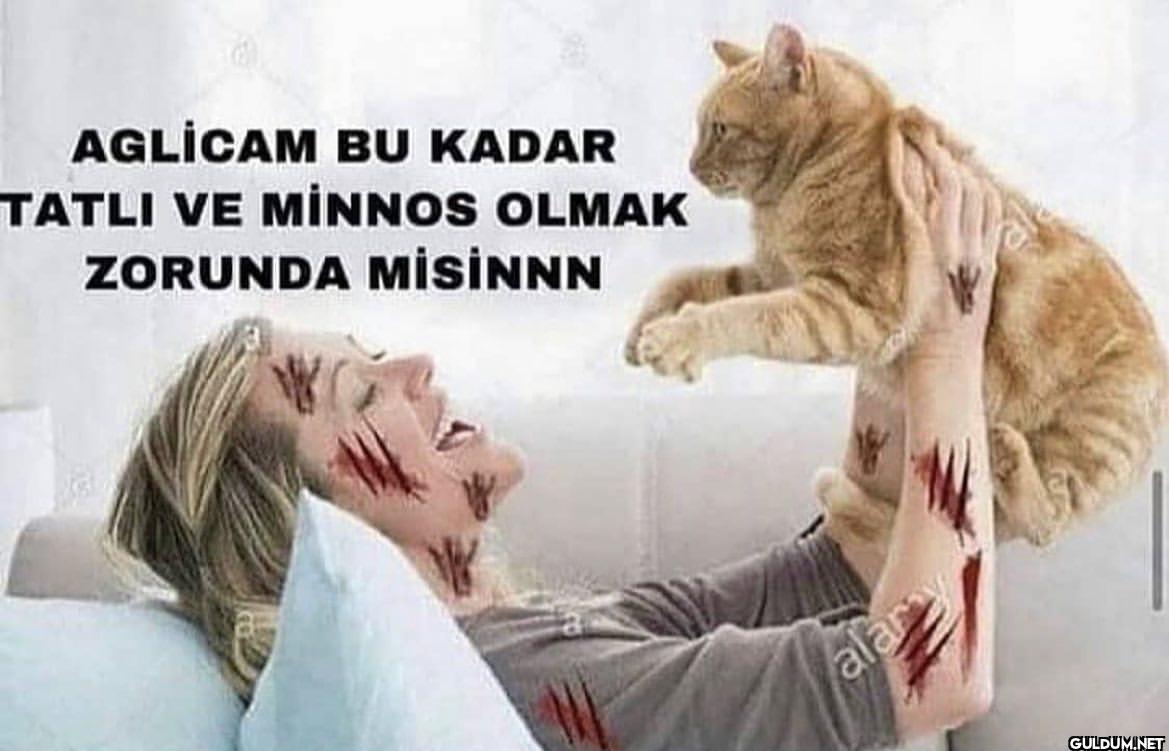 bu kadar tatlı olmak...