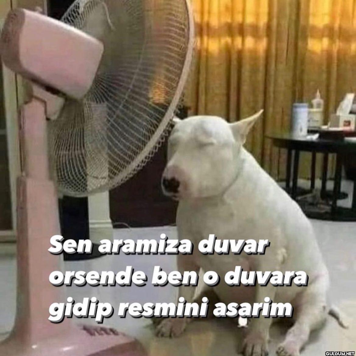 sen aramıza duvar örsen...