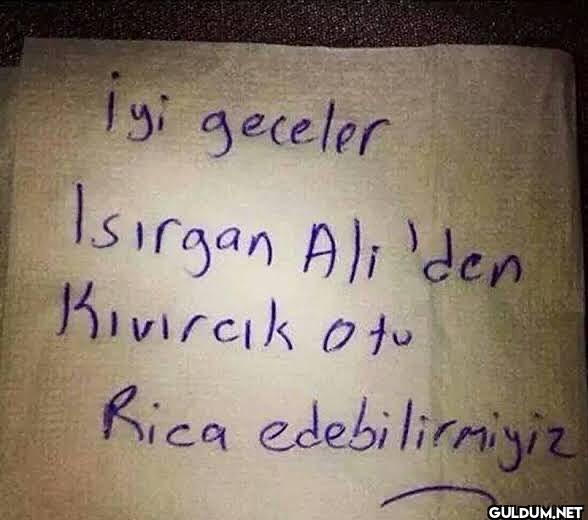 merhaba, ısırgan ali...