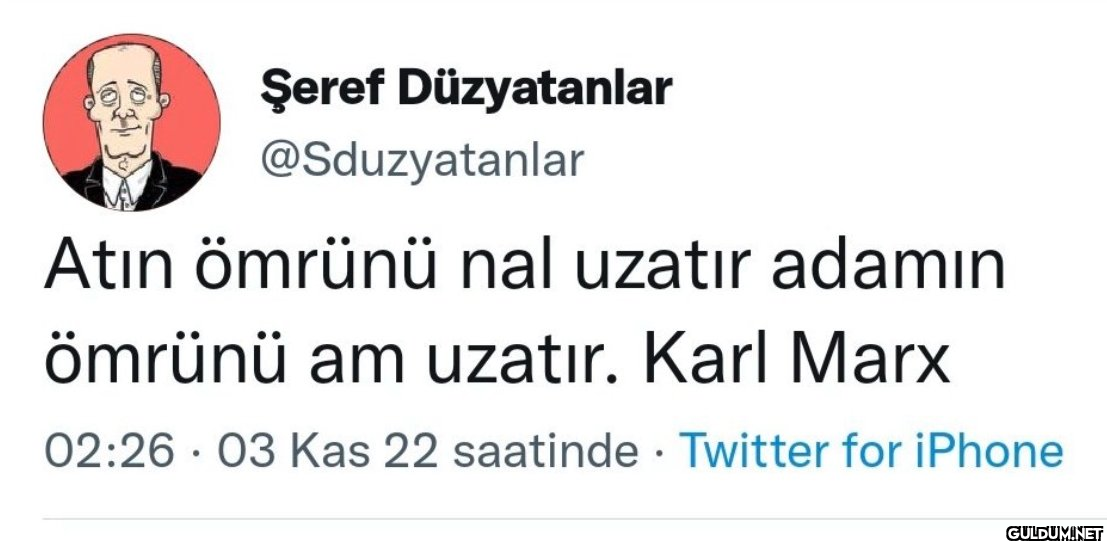 Şeref Düzyatanlar...
