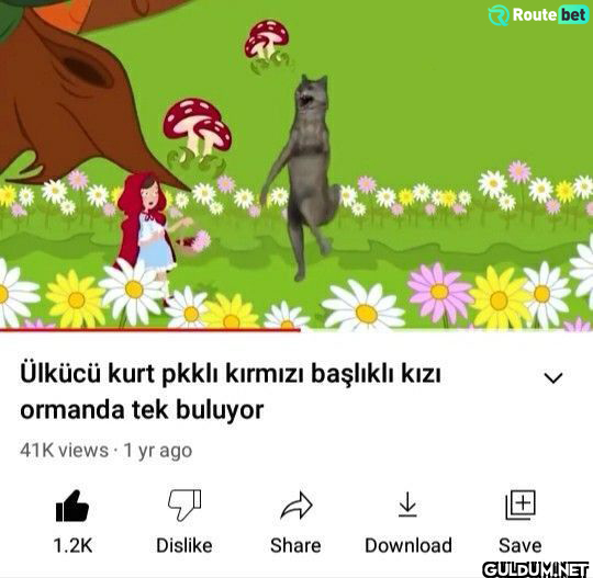 Ülkücü kurt pkklı kırmızı...