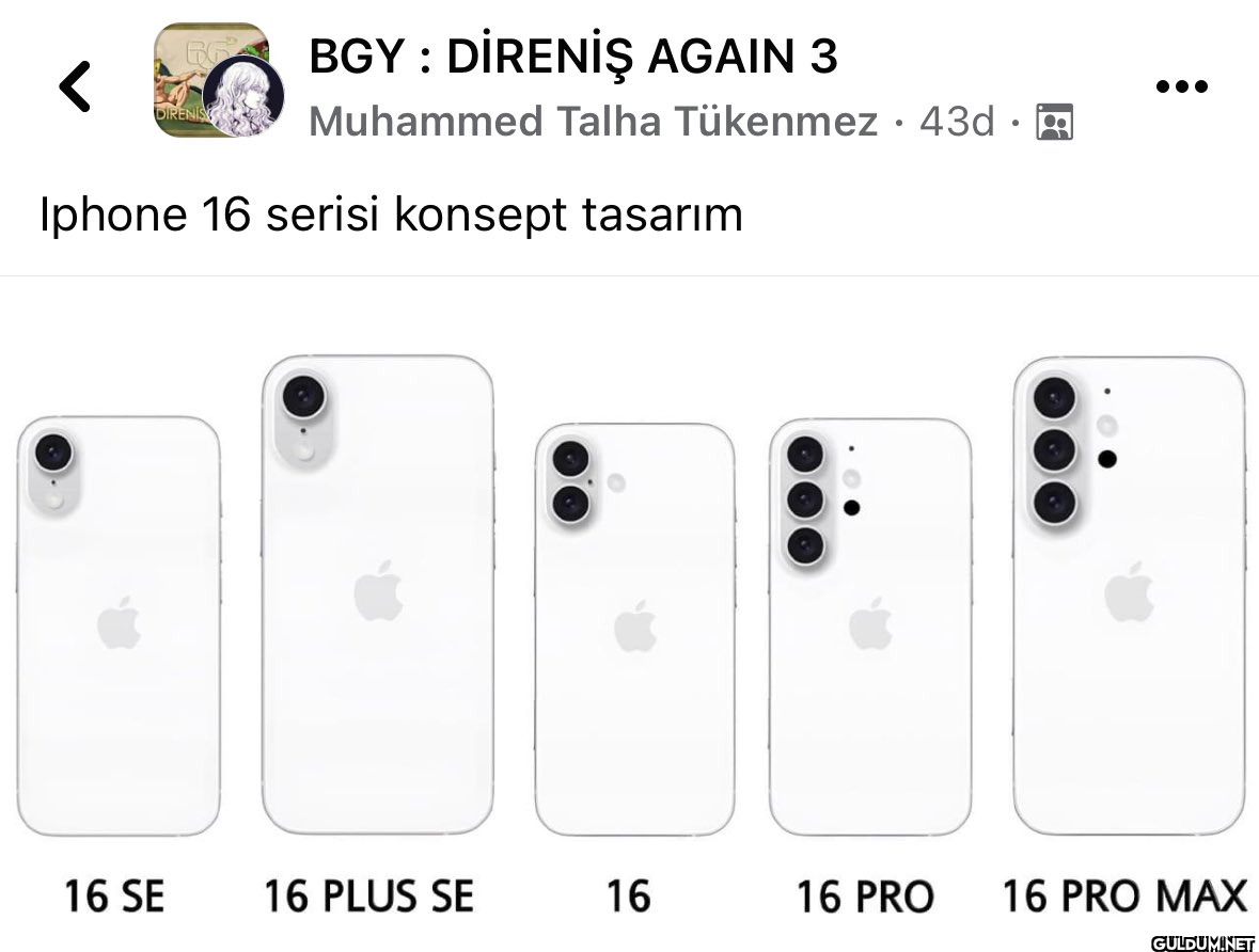Bune lan  DIRENIS BGY:...
