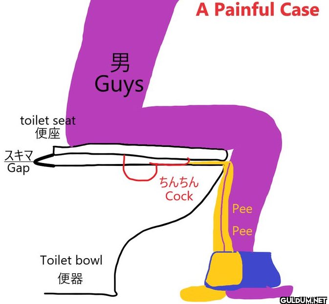 toilet seat 便座 スキマ Gap 男...