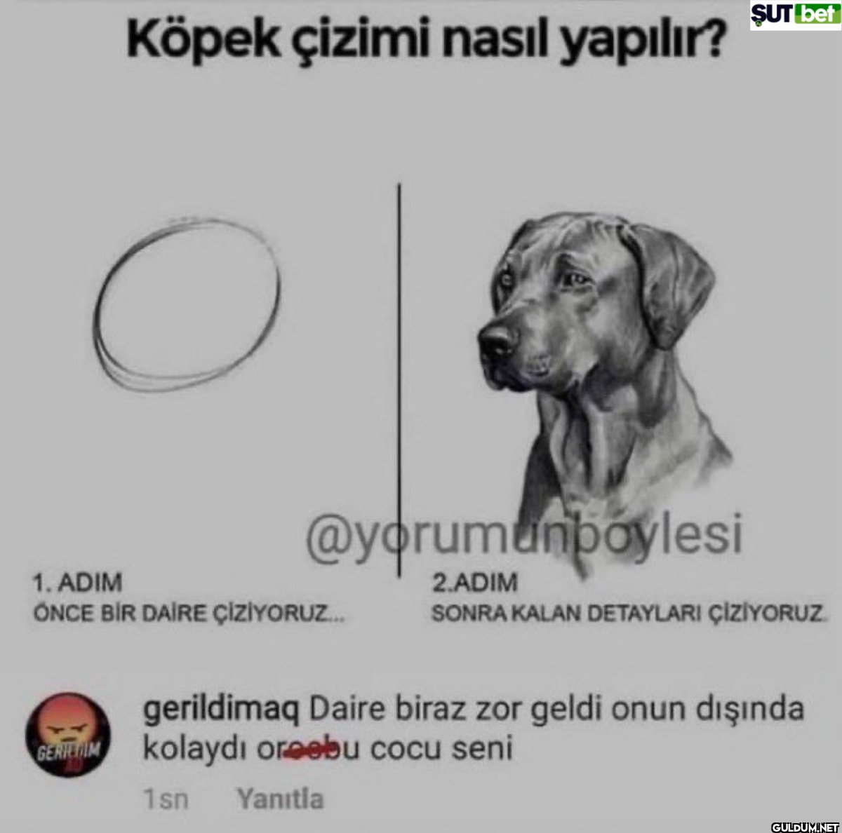 Köpek çizimi nasıl...