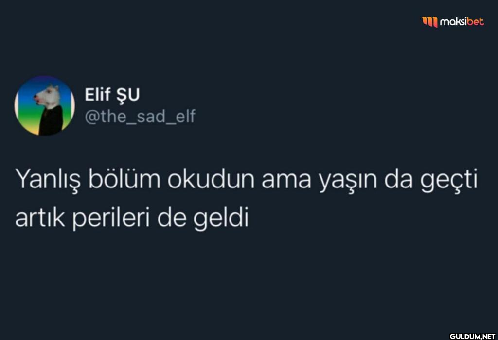 Elif ŞU @the_sad_elf...