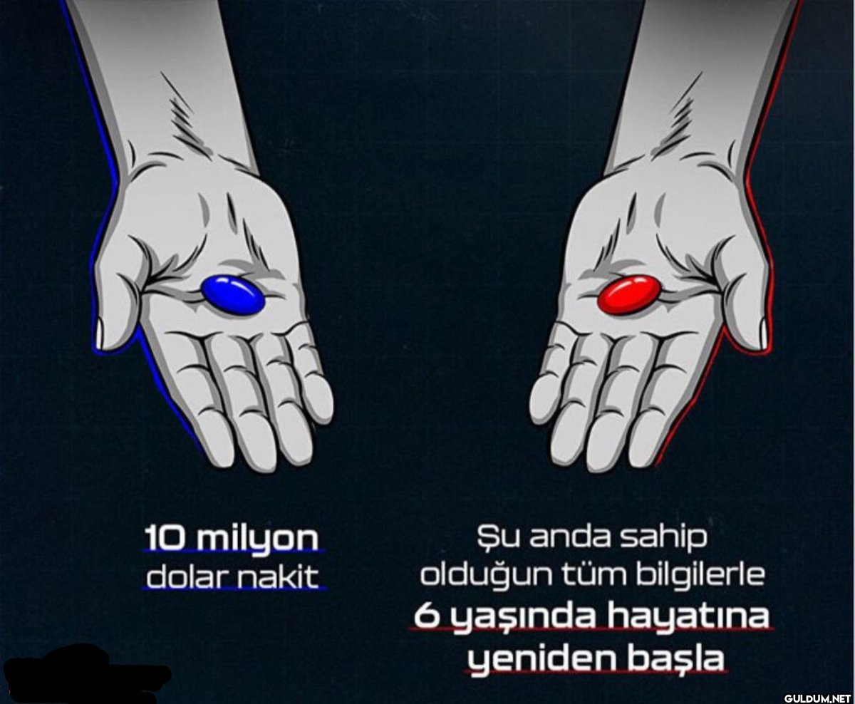 mavi hap mı kırmızı hap mı...