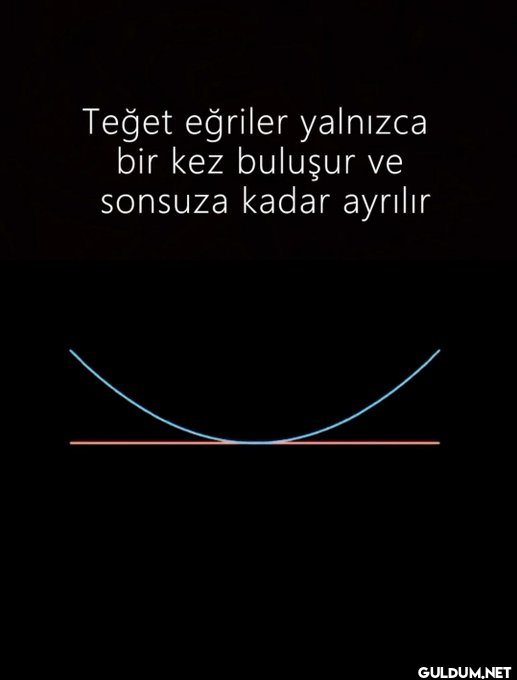 Teğet eğriler:1  Ben:0 ...