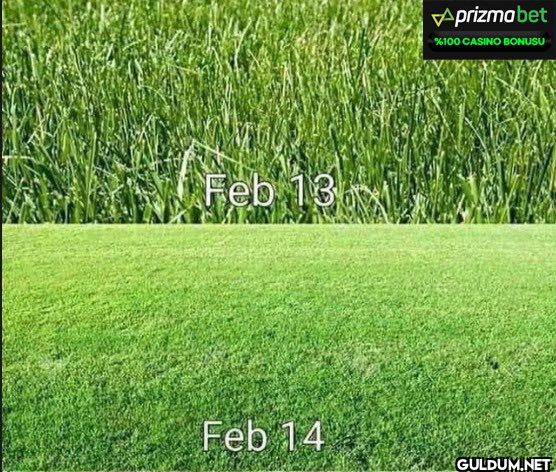 Feb 13 Feb 14 Aprizma bet...