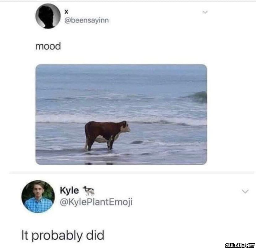 mood X @beensayinn Kyle...