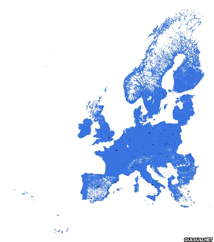 European Population...