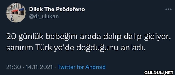 Dilek The Psödofeno...