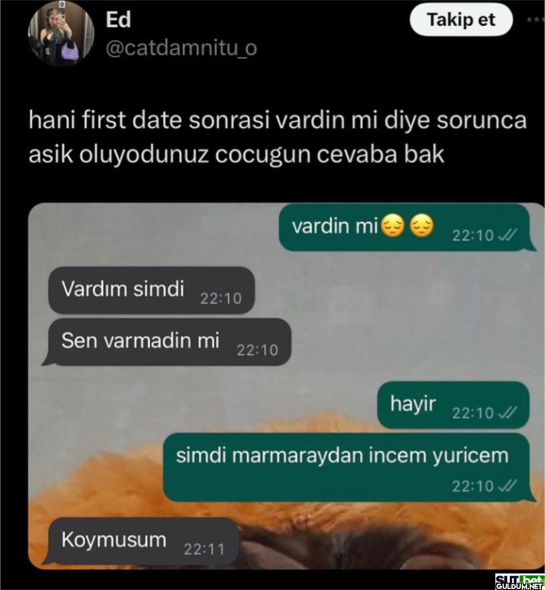Ed @catdamnitu_o hani...