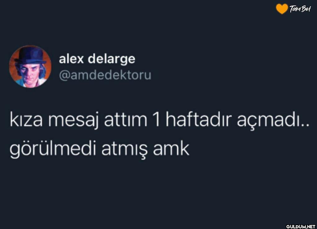 alex delarge @amdedektoru...