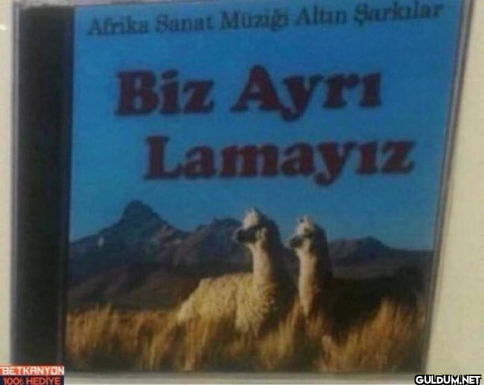 BETKANYON 100% HEDİYE...
