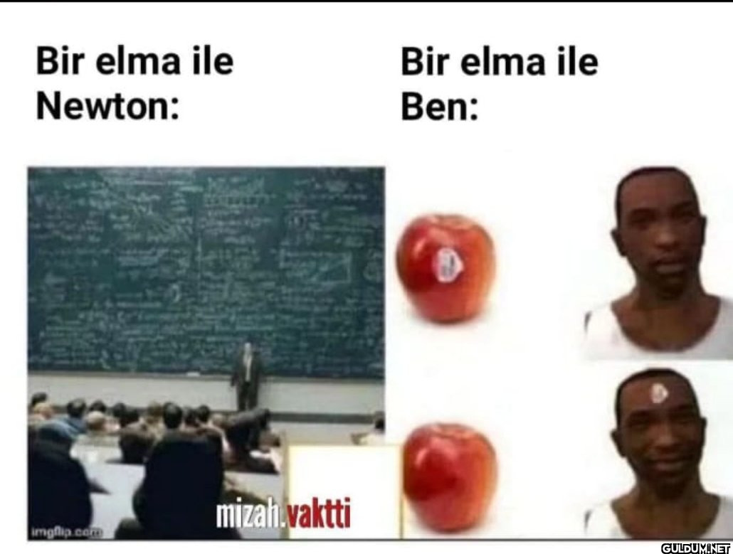Bir elma ile Newton:...