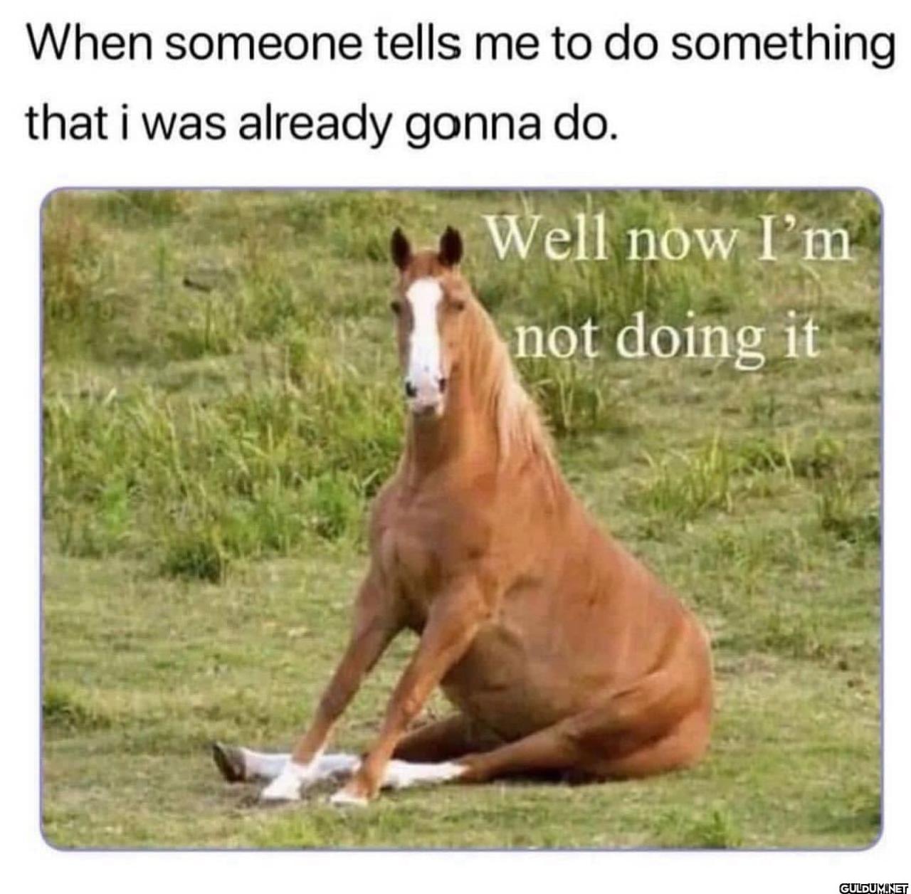 You made me delay it a...