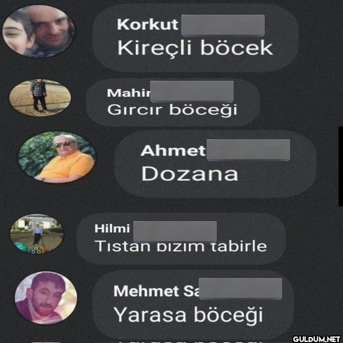 Bir böcek bölümü ile...